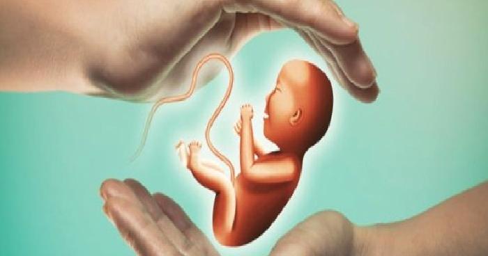Kısırlık (İnfertilite)