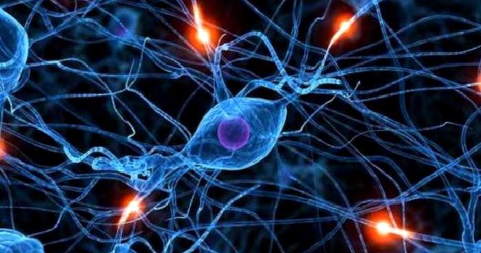 Kök Hücre ve Göz Kapağı Estetiği Nedir?