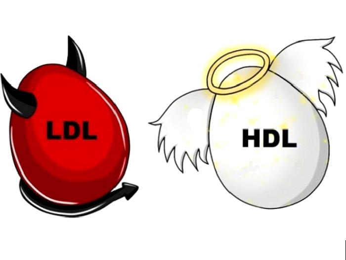 Kolesterol Nedir?
