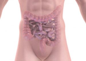 Kolon (Bağırsak) Kanseri