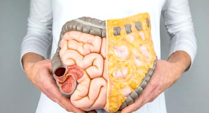 Kolon ve Rektum Kanserlerinden Korunmak