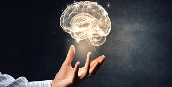 Koma, Bitkisel Hayat ve Beyin Ölümü Nedir?