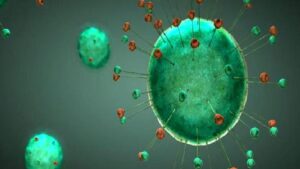 Korona (Covid 19) Hastalığı Sonrası Rehabilitasyon