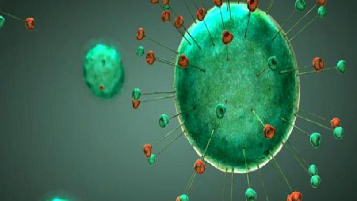 Koronavirüs ve Psikoloji