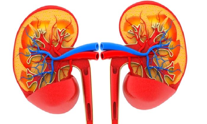 KRONİK BÖBREK HASTALIĞI