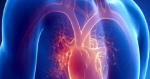 Minimal İnvaziv (Küçük Kesi) Kalp Cerrahisi