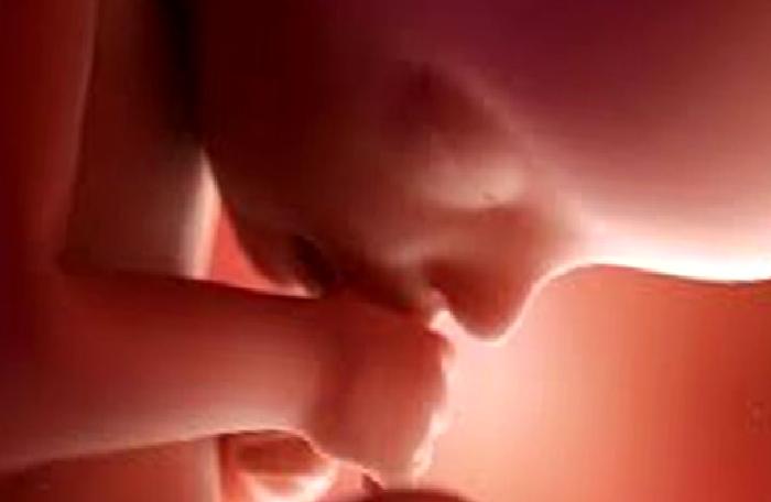 Mitokondri, Yaşlanma, Enerji