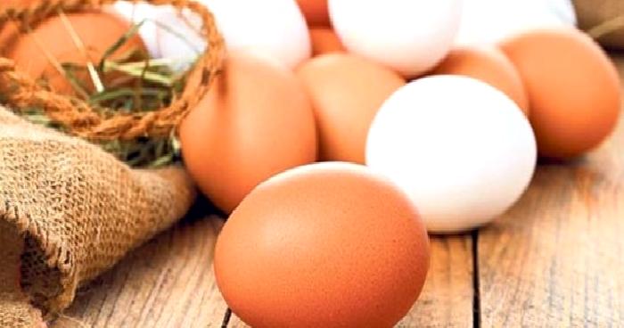 Mükemmel Besin Yumurta ve Değerlendirmesi