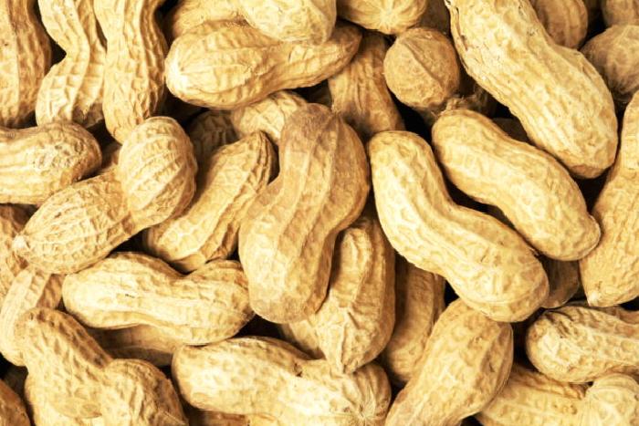 NEDİR BU YER FISTIĞI?