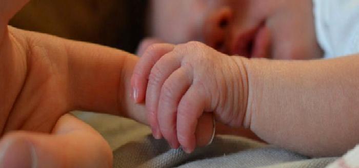 Nesne İlişkileri Kuramı