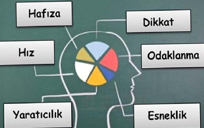 Nöropsikiyatrik değerlendirme-Nöropsikolojik Testler