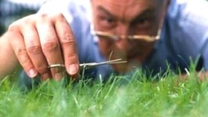 Obsesif Kompulsif Bozukluk