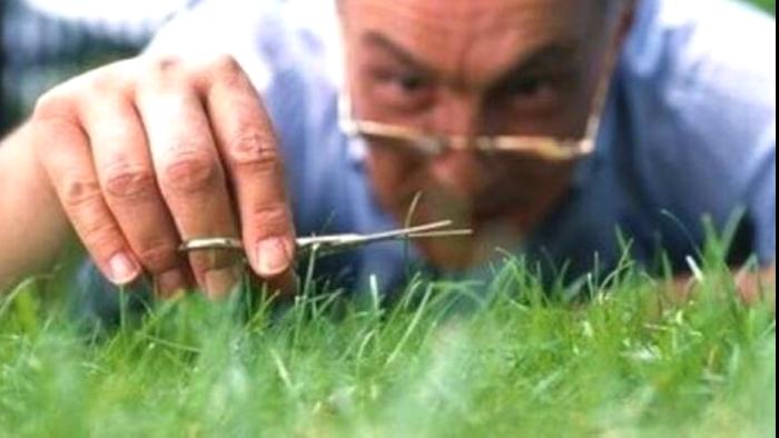 Obsesif Kompülsif Bozukluk Ve Çözüm Yolları