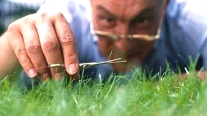 Obsesif Kompulsif Kişilik