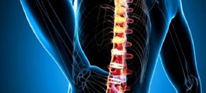 Omurga Enfeksiyonları