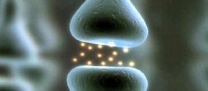 Osteoporoz (Kemik Erimesi): Kemiklerimizin Gizli Hırsızı