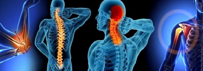Osteoporoz (Kemik Erimesi) ve Beslenme: Kemiğimiz için Faydalı Gıdalar