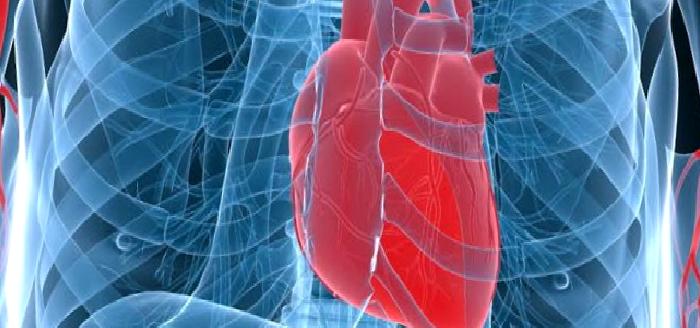 Pandemide Kalp ve Akciğerin Güçlenmesi İçin Egzersiz Önerileri