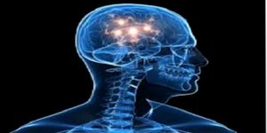 Parkinson Hastalığının Belirtileri Nelerdir?