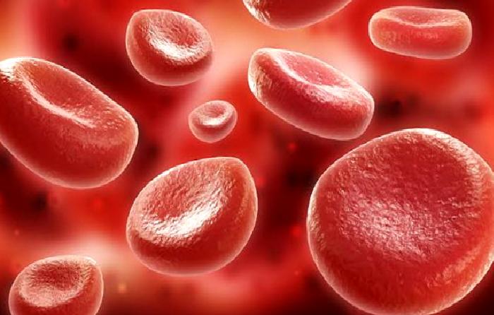 Pıhtılaşma Bozukluğuna Bağlı Kanamalar