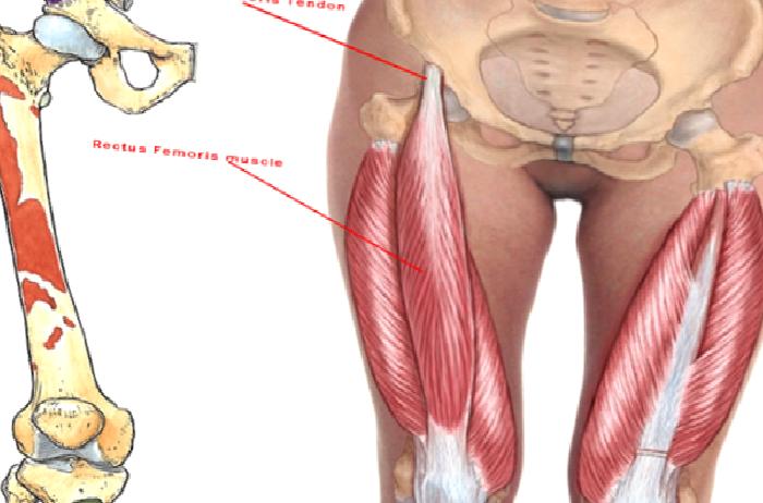 Piriformis Sendromu Nedir?
