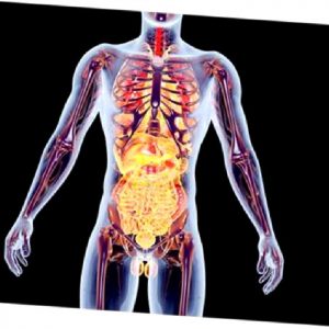 Proloterapi Hakkında Sıkça Sorulan Sorular