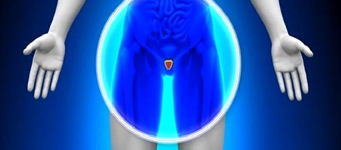 Prostat Hakkında Bilinmesi Gerekenler