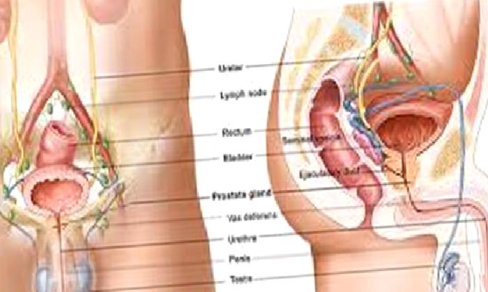 Prostat Kanseri ve Sebepleri nedir?