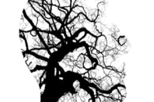 Psikoterapi Nedir? Ruhsal Rahatsızlıkları Nasıl Tedavi Eder?