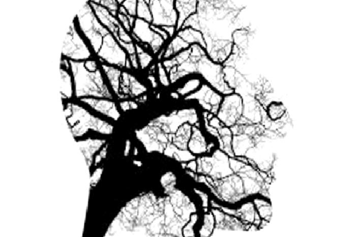 Psikoterapi Üzerine