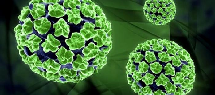 Rahim Ağzı Kanserinden Korunmak İçin HPV’ye Karşı Önlem Alın