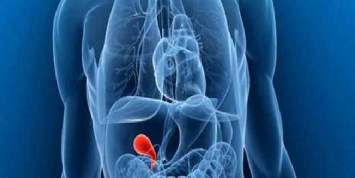 Safra Kesesi Hastalıkları