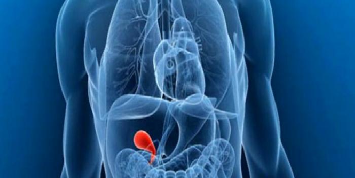 Safra ve Safra Kesesi Hastalıklar