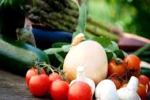 Sağlıklı Sofralar Kurun, Ailece Formda Olun