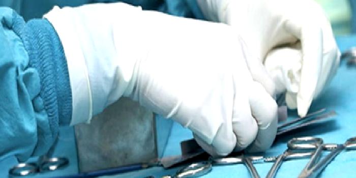 Serbest Fleple Onarım