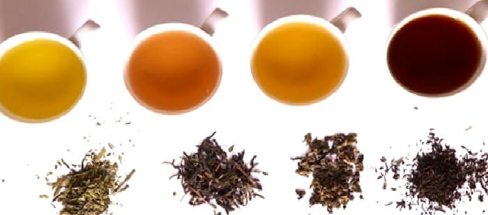 Siyah Çay Mı? Yeşil Çay Mı?