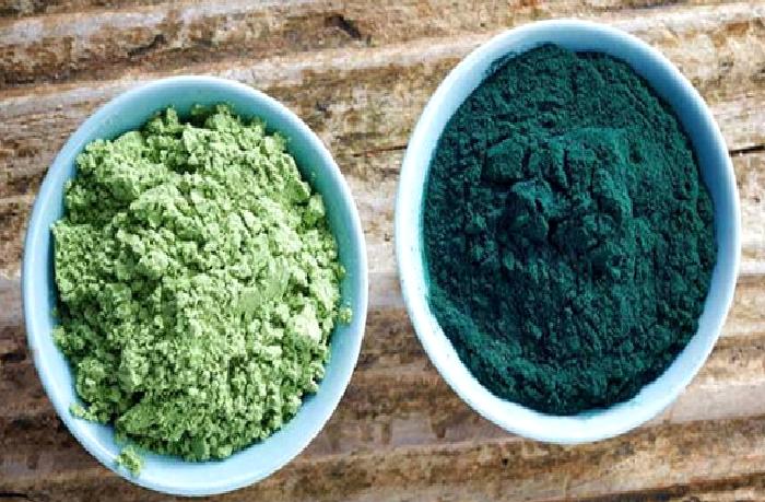 Spirulina ile Chlorella Nedir Faydaları Nelerdir ?