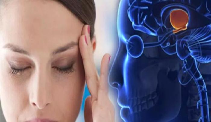 Stres Hormonu Adrenalin Aşırı Maruziyeti Nelere Yol Açar?