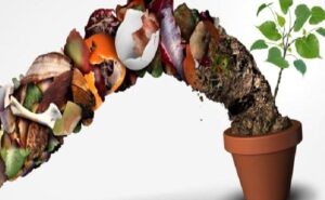 Sürdürülebilir Yaşam İçin Sürdürülebilir Beslenme