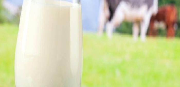 Tam Yağlı Süt Kalp Hastalığını ve İnmeleri Önleyebilir