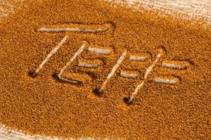 Teff Tohumu Zayıflatır Mı?