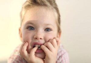 Tırnak Yemenin Asıl Nedeni Güvensizlik