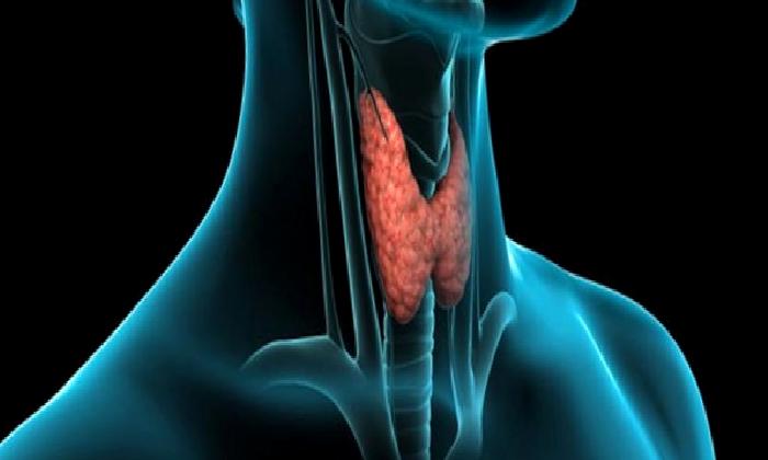 Tiroid Kanseri: Kadınların Bilmesi Gerekenler