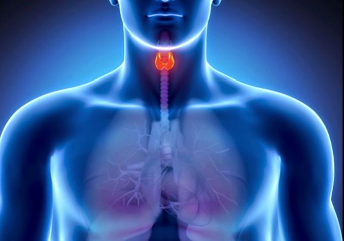 Tiroit ve İyot İlişkisi