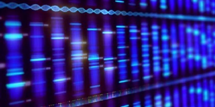 Tüm Genom ve Tüm Ekzom Analizi