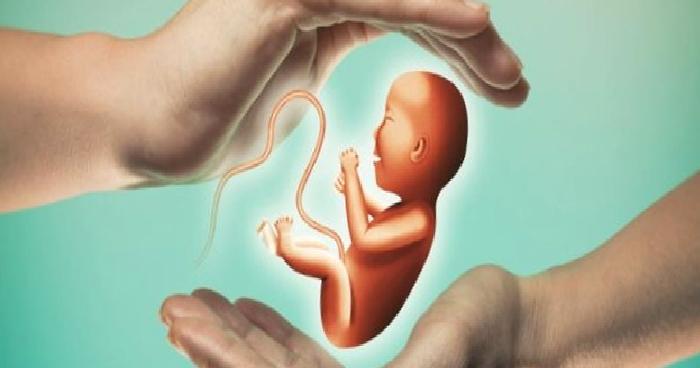 Tüp Bebek Tedavisi ve Bilişsel Davranışçı Psikoterapi
