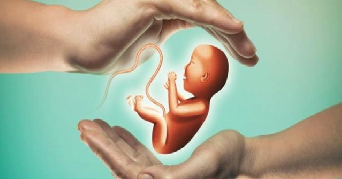 Tüp Bebek Tedavisinde PRP Yöntemi Nedir, Nasıl Uygulanır?