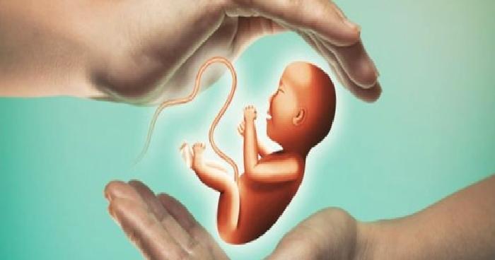 Tüp Bebek Tedavisine Başlamadan Önce Yapılması Gerekenler