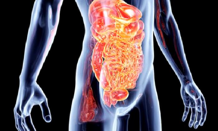 UNUTULMUŞ ORGAN: BARSAK MİKROBİYOTASI