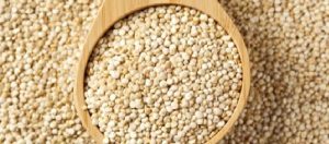 Vejeteryanlar İçin Alternatif Protein Kaynakları